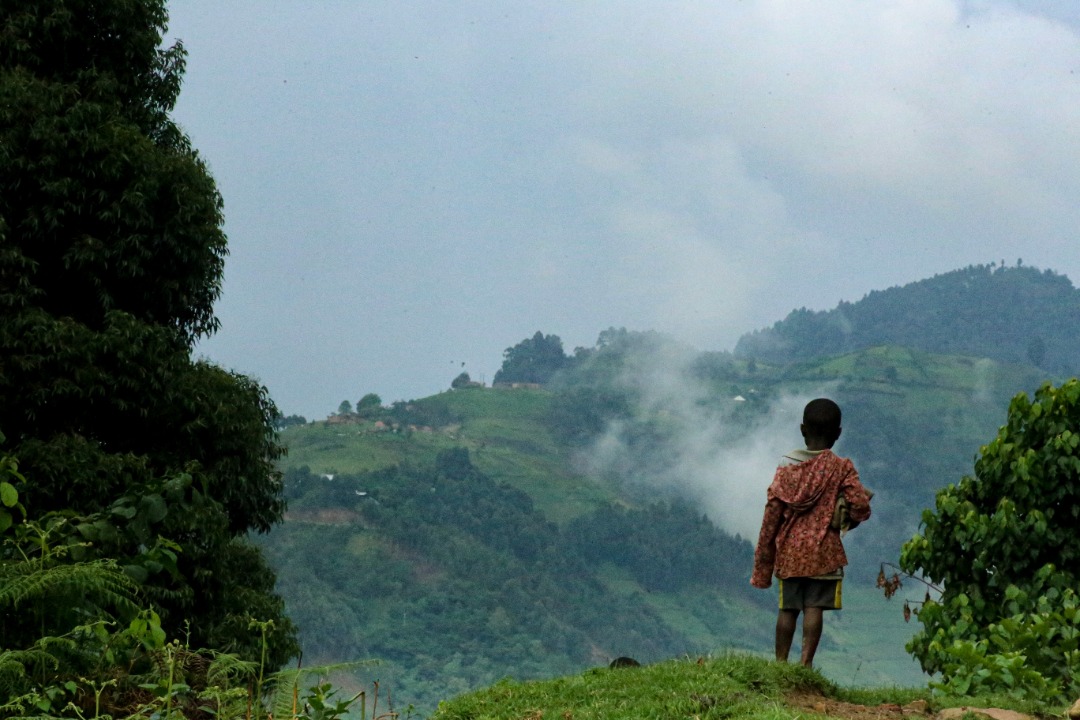 All inclusive East African safaris