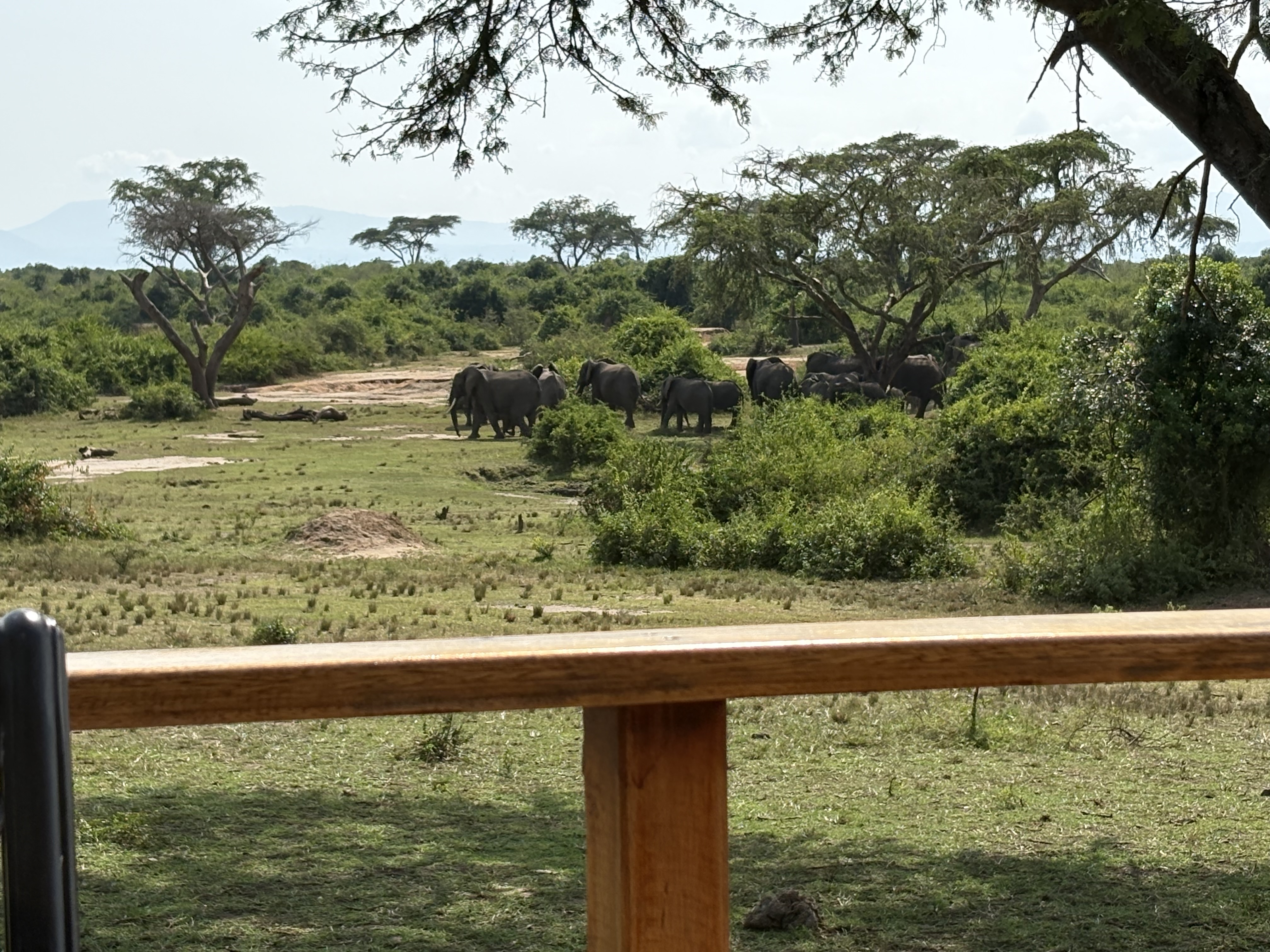 Tanzania