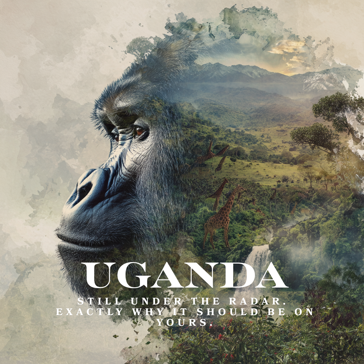 A journey through Uganda